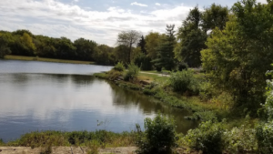 Scenic view of the lake at Amesbury Lake Park Overland Parks KS