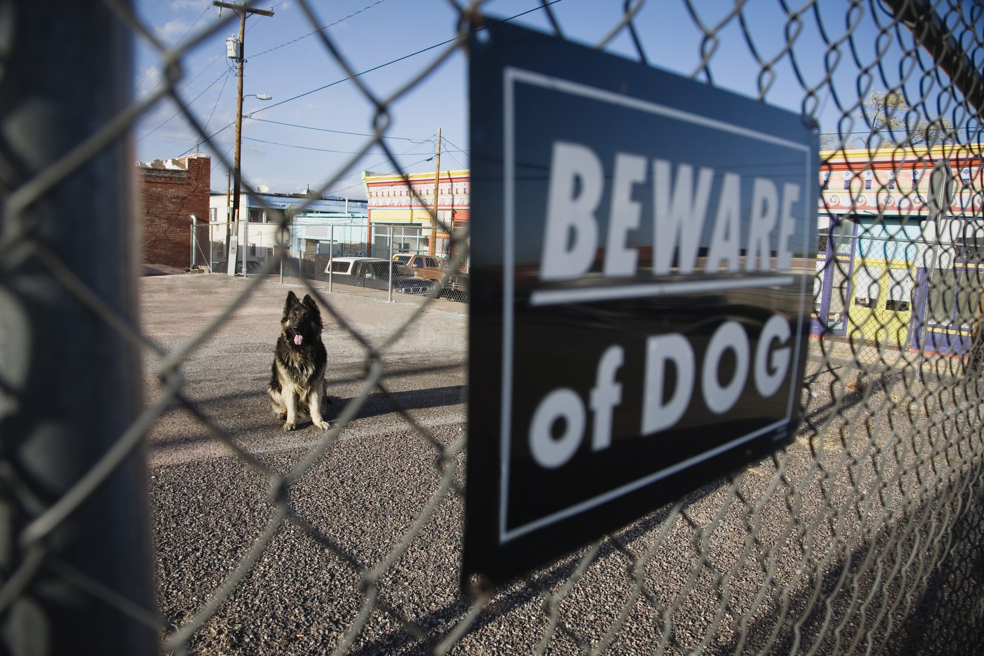 Kansas City Dog Bite Lawyer